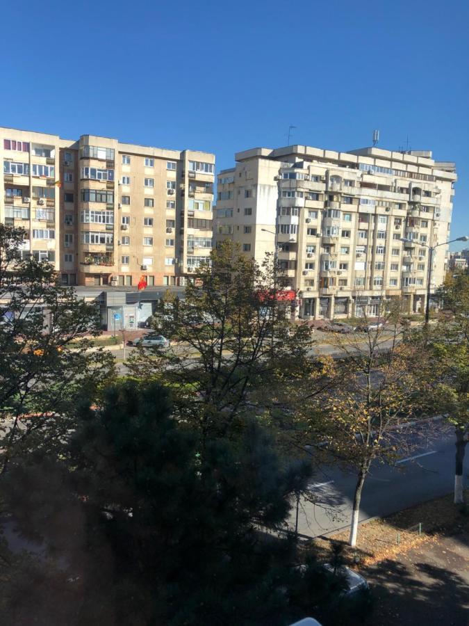 Adrian Home, Central بلوييست المظهر الخارجي الصورة